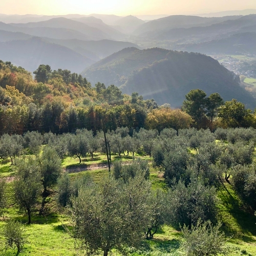 Costa d'Oro